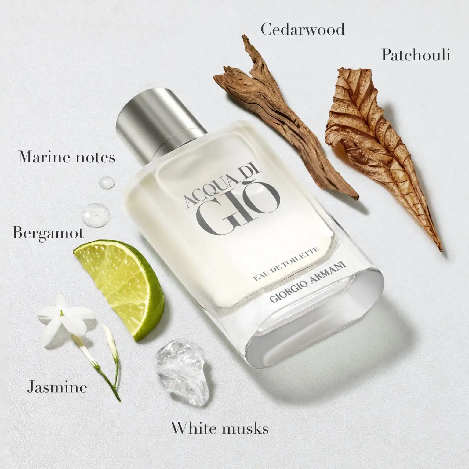 Nước Hoa Nam Giorgio Armani Acqua Di Giò EDP